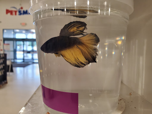 Pet Supply Store «PetSmart», reviews and photos, 1236 Greenbrier Pkwy, Chesapeake, VA 23320, USA