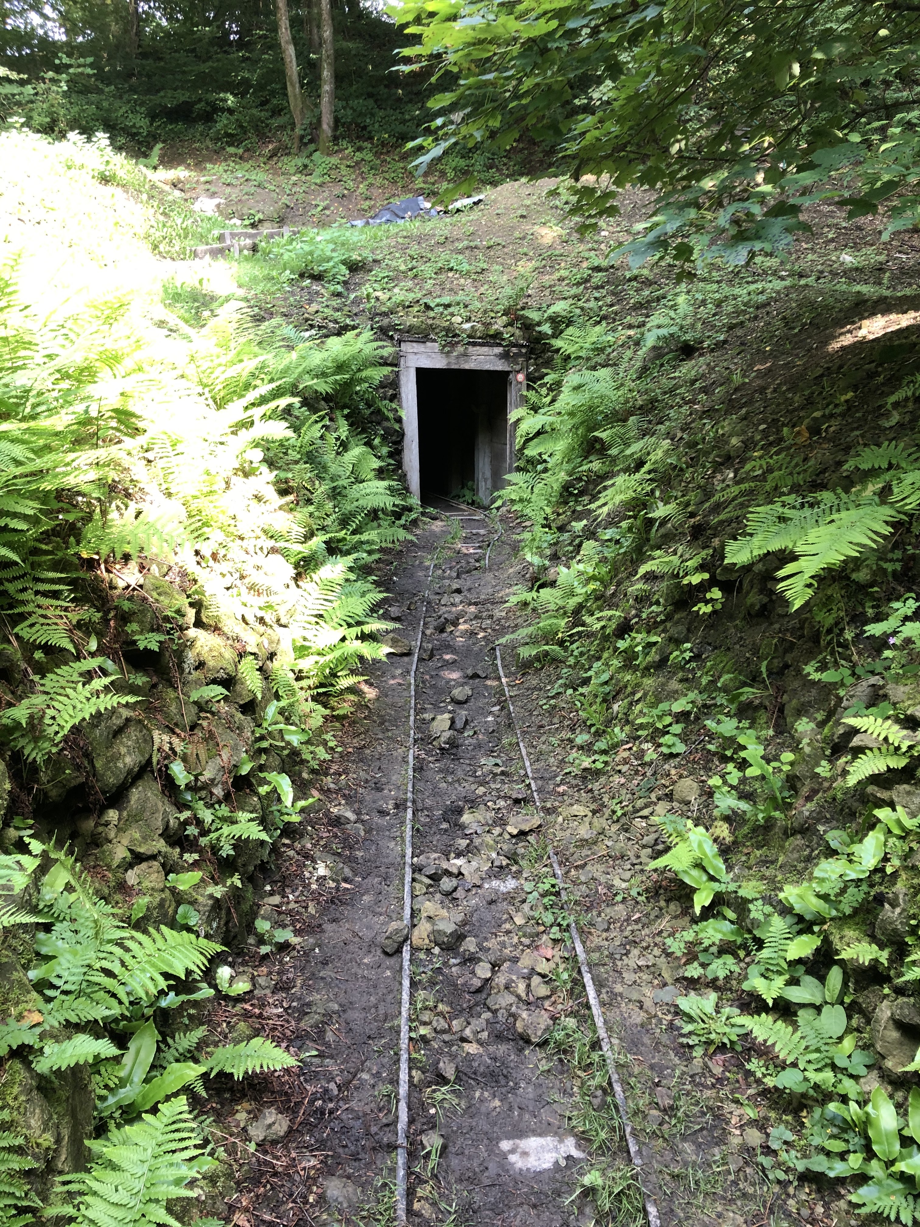 Photo n° 7 de l'avis de Barroness.y fait le 26/08/2021 à 14:17