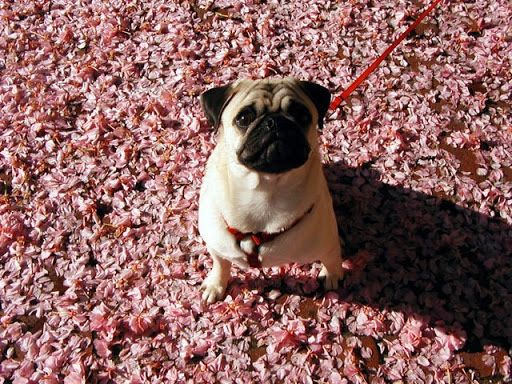 Modern Art Museum «Solomon R. Guggenheim Museum», reviews and photos, 1071 5th Ave, New York, NY 10128, USA