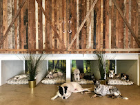 DEN Urban Dog Retreat Grooming Daycare - Photo 5 - Car repair in Los Angeles, CA, Pasadena