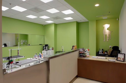 Pet Store «Healthy Spot», reviews and photos, 4718 Lincoln Blvd, Marina Del Rey, CA 90292, USA