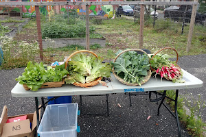 Pigtown Food For Thought Carroll Street Garden