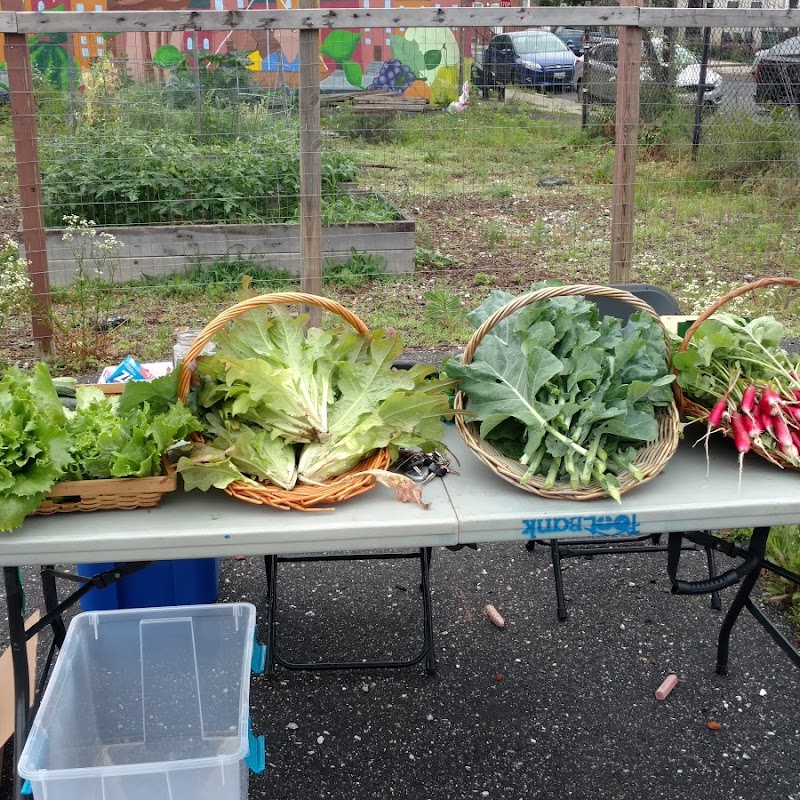 Pigtown Food For Thought Carroll Street Garden