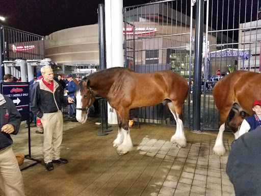 Stadium «Progressive Field», reviews and photos, 2401 Ontario St, Cleveland, OH 44115, USA