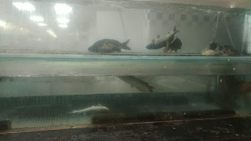 Asian Grocery Store «99 Ranch Market», reviews and photos, 338 Barber Ln, Milpitas, CA 95035, USA