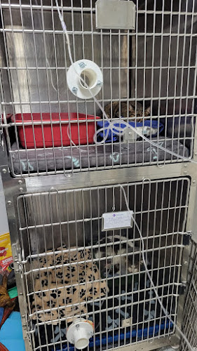 Αξιολογήσεις για το Κτηνιατρικό Κέντρο - Φλαράκος Μιχαήλ στην Κηφισιά - Κτηνίατρος