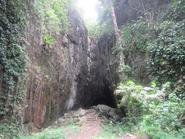 Turtle Cave Attraction