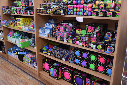 Toy Store «Brilliant Sky Toys & Books», reviews and photos, 1705 Mallory Ln #100, Brentwood, TN 37027, USA