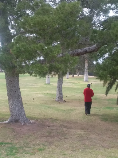 Golf Course «Encanto 9-Hole Golf Course», reviews and photos, 2300 N 17th Ave, Phoenix, AZ 85007, USA