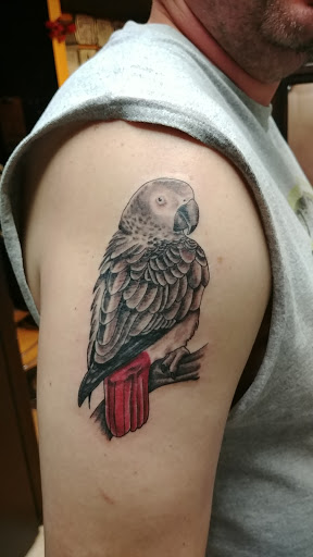 Body Piercing Shop «Fine Line Tattoos», reviews and photos, 9515 Skillman St, Dallas, TX 75243, USA