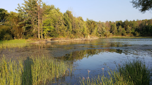 Tourist Attraction «West Branch State Park Beach», reviews and photos, Esworthy Rd, Ravenna, OH 44266, USA