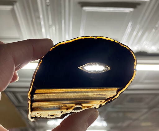 Explore tattoo ideas for freedom, creative tattoo ideas in Oswego, available at Bodified