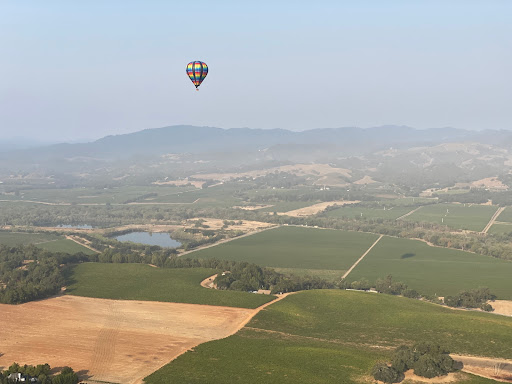 Wine Country Balloons image
