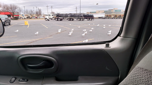 Home Improvement Store «Tractor Supply Co.», reviews and photos, 1905 N Jackson St, Tullahoma, TN 37388, USA