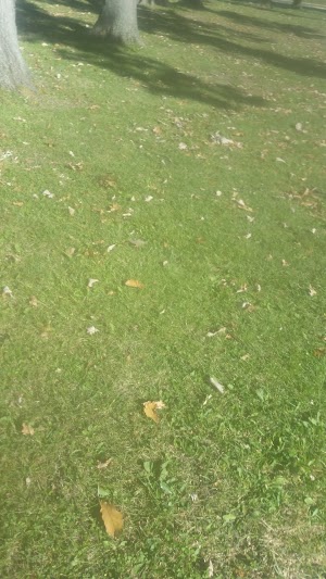 John Bishop Park - photo 73
