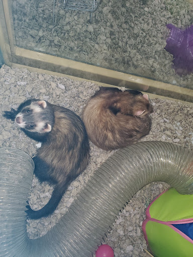 Pet Supply Store «Pet Supermarket, Inc.», reviews and photos, 3911 Lemmon Ave, Dallas, TX 75219, USA