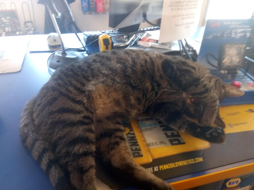 Auto Parts Store «NAPA Auto Parts - Kkr Automotive», reviews and photos, 21295 Mission Blvd, Hayward, CA 94541, USA