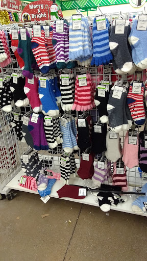 Dollar Store «Dollar Tree», reviews and photos, 713 E Main St, Brownsburg, IN 46112, USA