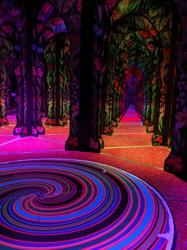 Tourist Attraction «OdySea Mirror Maze», reviews and photos, 9500 East Vía de Ventura #200, Scottsdale, AZ 85256, USA