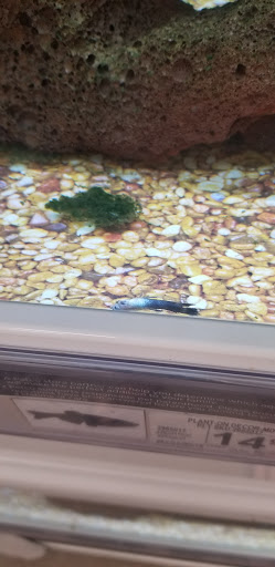 Pet Supply Store «Petco Animal Supplies», reviews and photos, 12801 Chenal Pkwy, Little Rock, AR 72211, USA