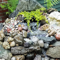 The Constant Gardener - Photo 6 - Car repair in Hollis, ME, Portland