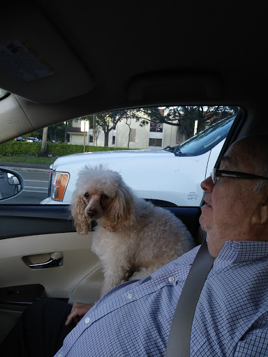 Auto Body Shop «Maaco Collision Repair and Auto Painting», reviews and photos, 1610 W 10th St, Antioch, CA 94509, USA