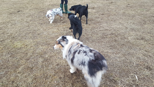 Park «Teegarden Park», reviews and photos, 440 Old State Rd, Berwyn, PA 19312, USA