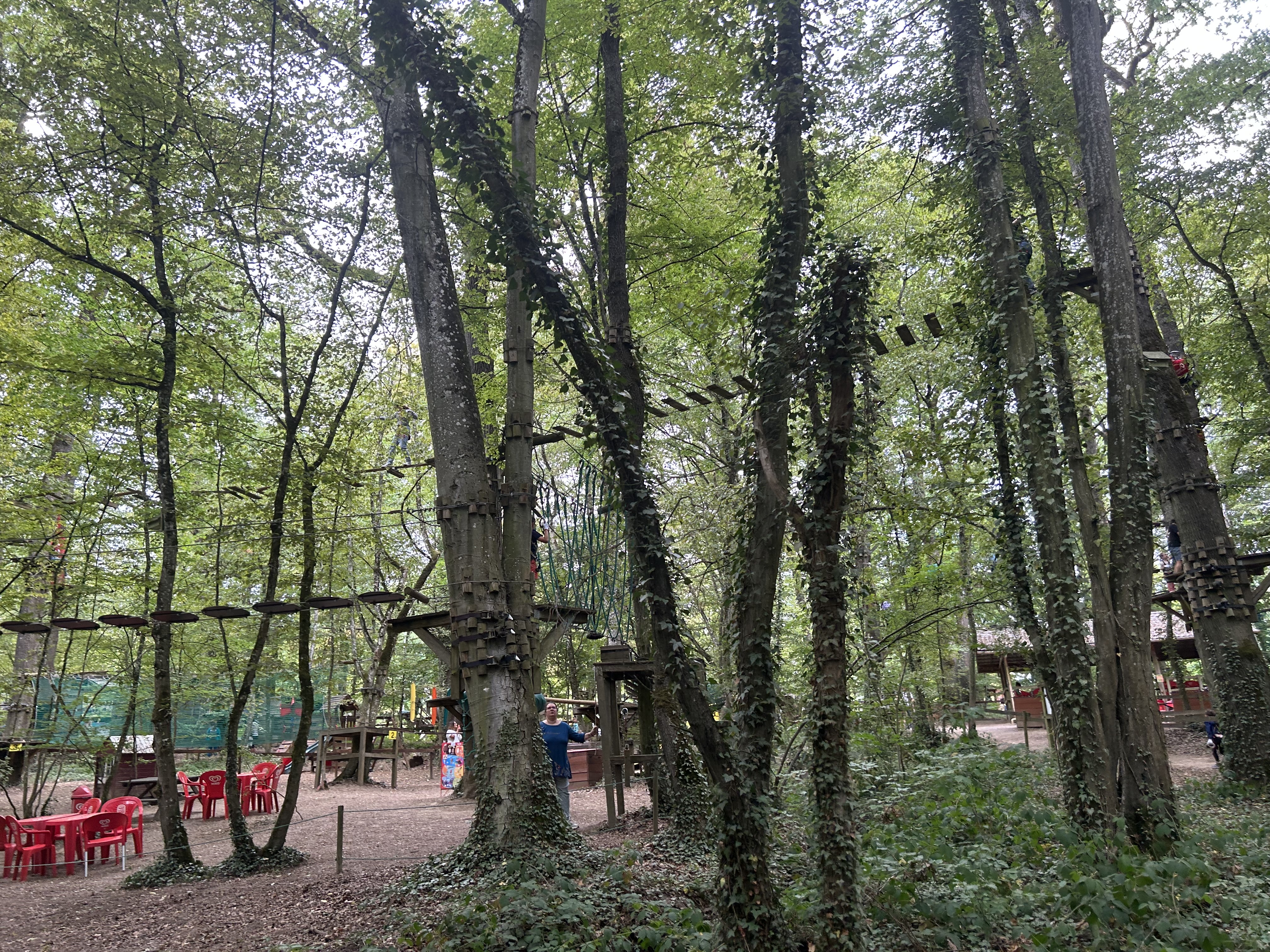 Photo n° 1 de l'avis de Natsukki. fait le 23/07/2023 à 12:46