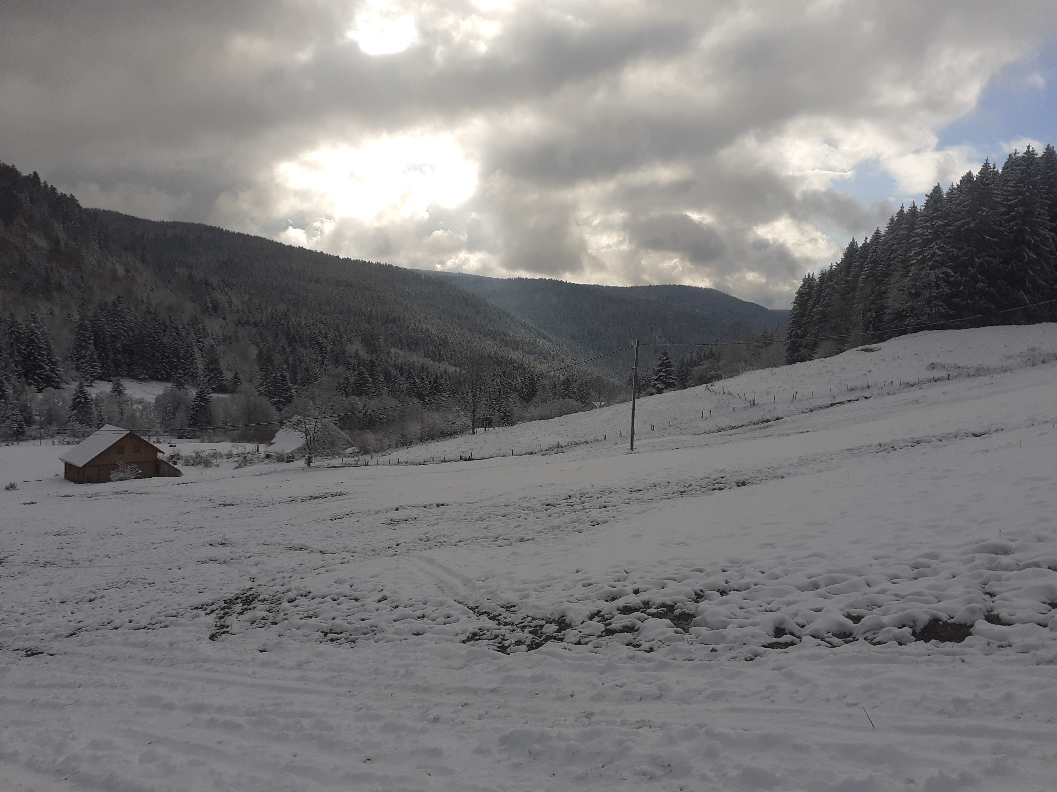 Photo n° 3 de l'avis de Daniele.e fait le 17/01/2021 à 11:38