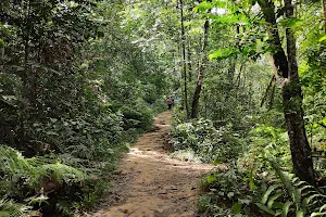 Bukit Serdang Hiking Trail (parking) image