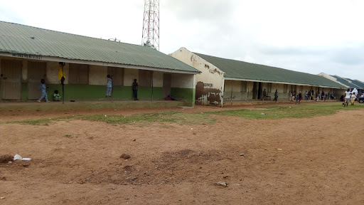 tanke primary school B, Rex Bello Street, Ilorin, Nigeria, Driving School, state Kwara