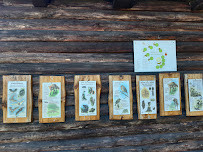 Restaurant Külsoer Mühle à Zahna-Elster (le menu)