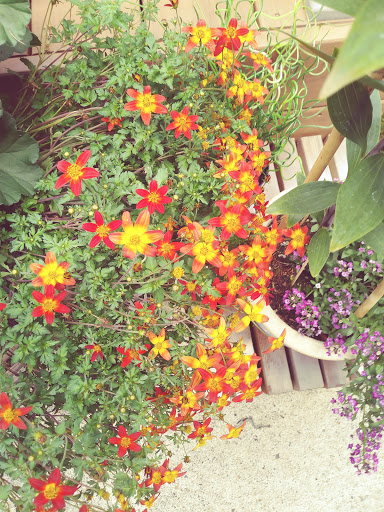 Park «Shadywood Park», reviews and photos, 535 NE 24th Ave, Hillsboro, OR 97124, USA