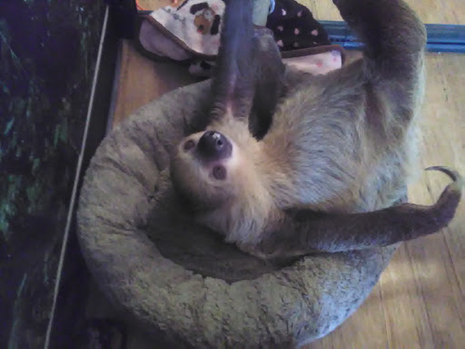 Pet Supply Store «EarthWise Pet Supply - Flower Mound», reviews and photos, 2311 Cross Timbers Rd #307, Flower Mound, TX 75028, USA