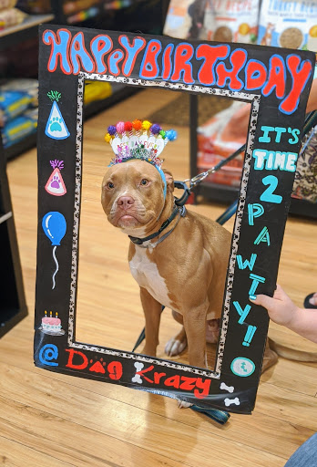 Pet Supply Store «Dog Krazy, Inc.», reviews and photos, 10681 Spotsylvania Ave, Fredericksburg, VA 22408, USA