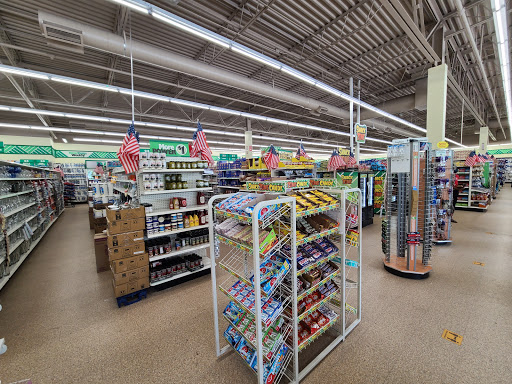 Dollar Store «Dollar Tree», reviews and photos, 23157 Telegraph Rd, Brownstown Charter Twp, MI 48134, USA