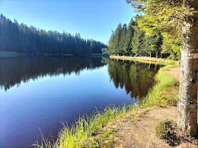 Etang Du Breuil La Chaise Dieu à Bonneval