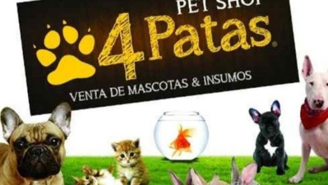 Pet shop 4 patas - Tacuarembó