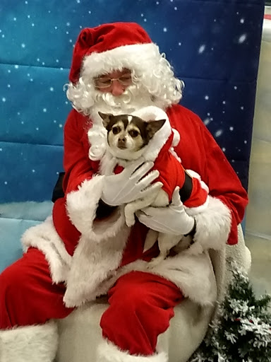 Pet Supply Store «PetSmart», reviews and photos, 1945 Pavilion Way, Lexington, KY 40509, USA