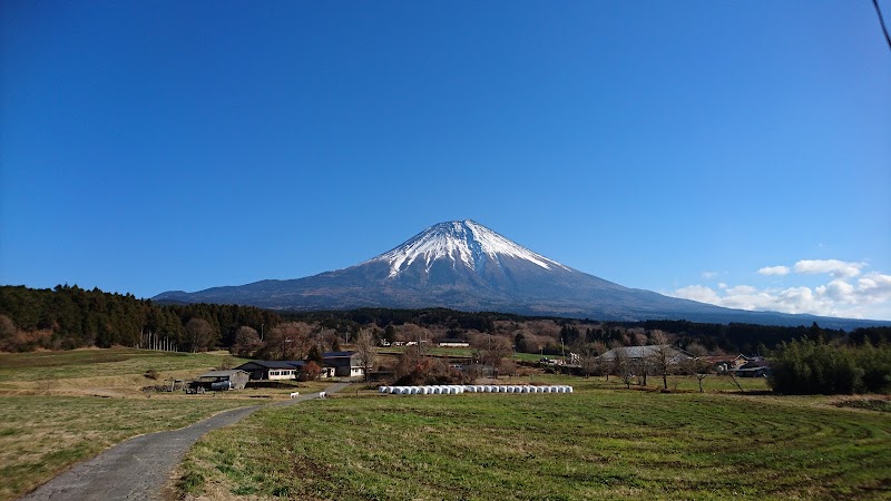 バナジウム天然水・富士山の宝