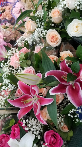 Supermarket «ALDI», reviews and photos, 6679 U.S. 9, Howell, NJ 07731, USA