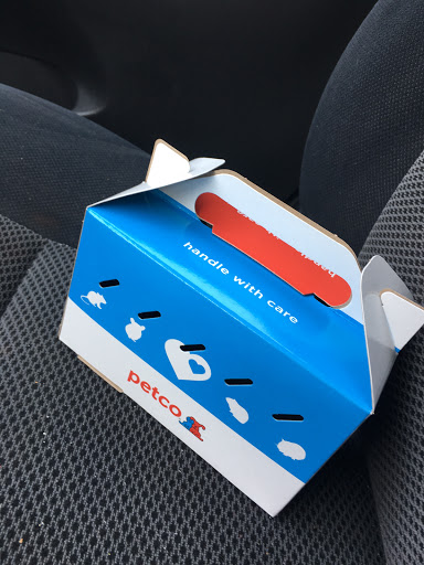 Pet Supply Store «Petco Animal Supplies», reviews and photos, 2520 E 3rd St, Bloomington, IN 47401, USA