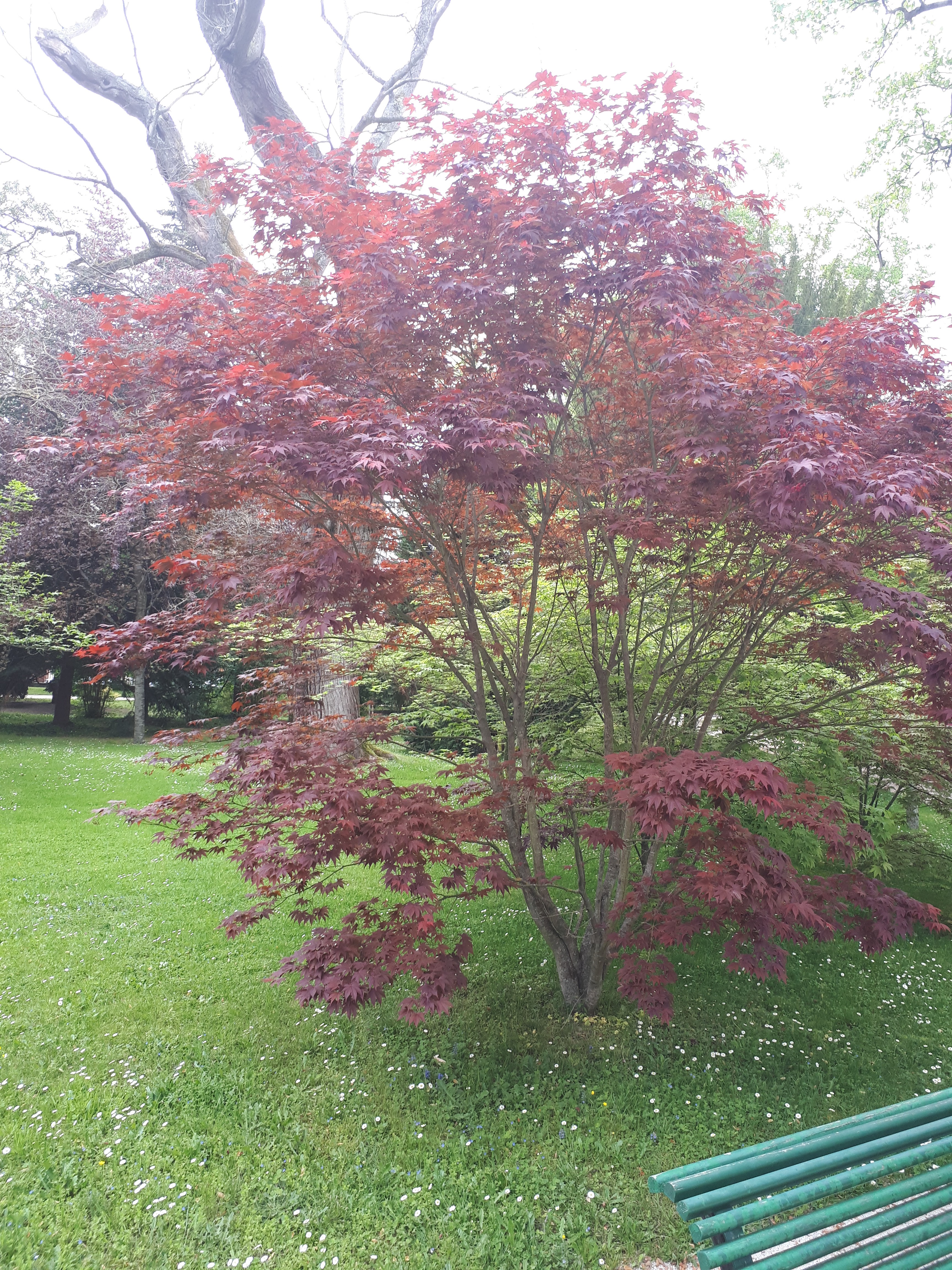 Photo n° 15 de l'avis de JÉJÉ. fait le 15/10/2017 à 11:17
