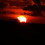 Photo n°5 de l'avis de Patrizia.e fait le 07/10/2021 à 12:47 sur le  il Curvone à Ostia