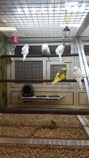 Pet Supply Store «PetSmart», reviews and photos, 1559 Merritt Blvd, Dundalk, MD 21222, USA