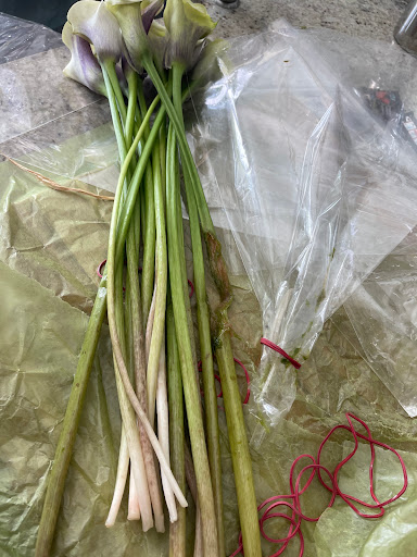 Florist «Flower Market», reviews and photos, 5851 Wiles Rd, Coral Springs, FL 33067, USA