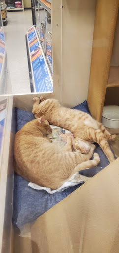 Pet Supply Store «PetSmart», reviews and photos, 4151 Turtle Creek Dr, Coral Springs, FL 33067, USA