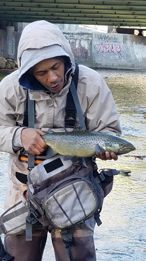 Golf Course «Newman Municipal Golf Course», reviews and photos, 10 Pier Rd, Ithaca, NY 14850, USA