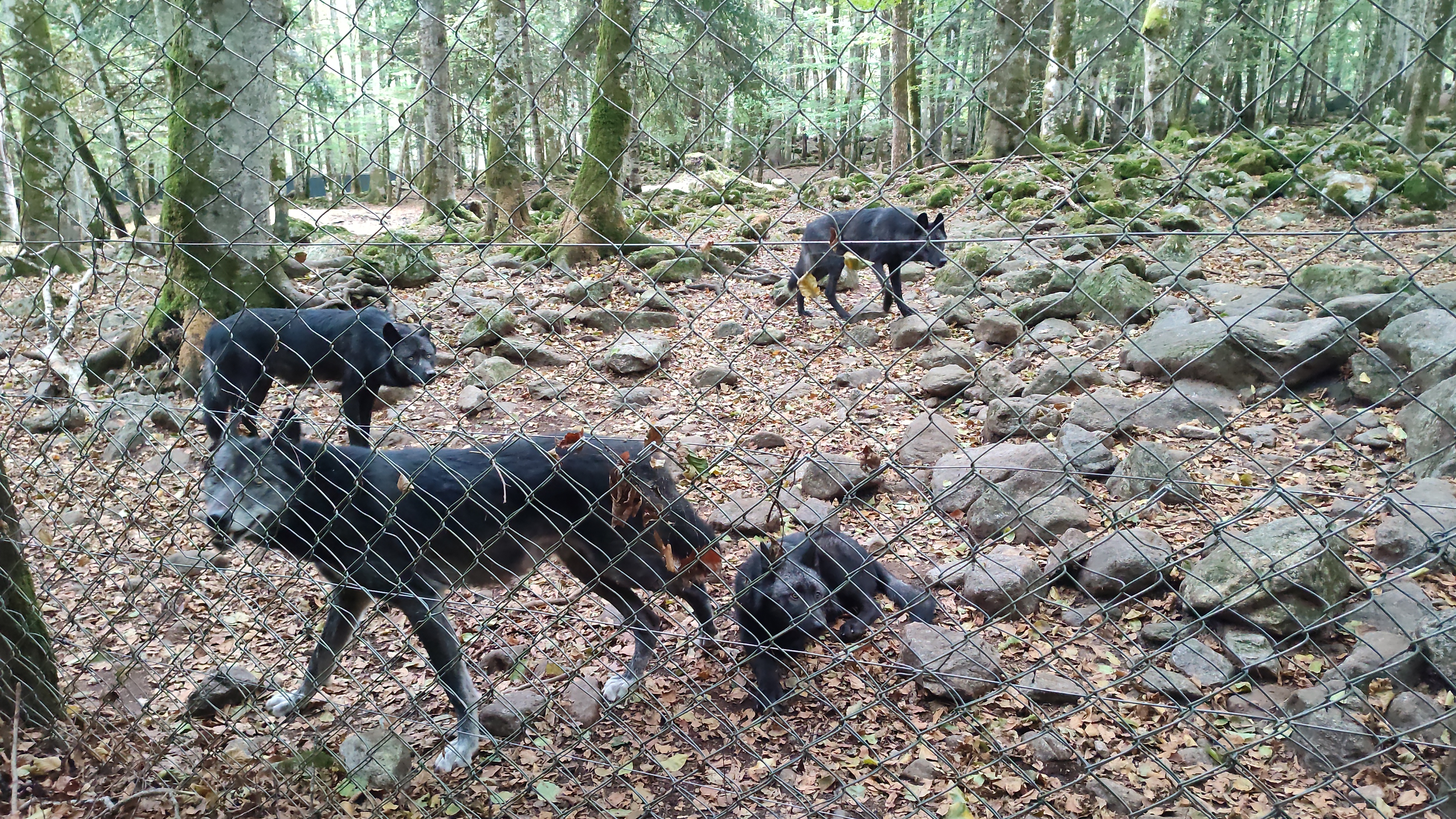 Photo n° 1 de l'avis de stéphanie.e fait le 21/09/2023 à 21:33