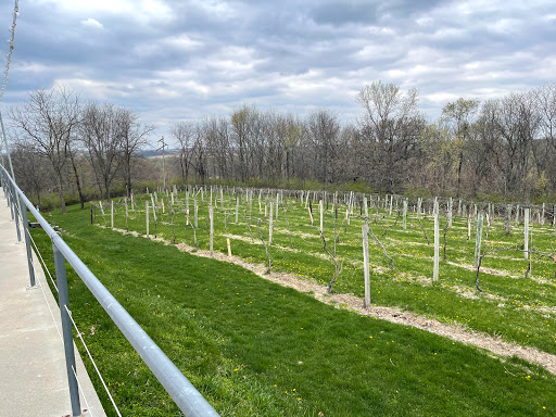 Winery «Summerset Winery», reviews and photos, 15101 Fairfax St, Indianola, IA 50125, USA